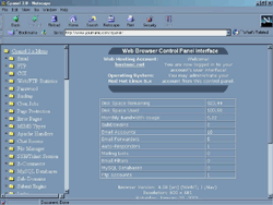 CPANEL™ CONTROL PANEL